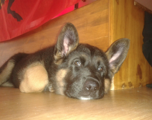 nuestra nela con 2 meses nuestra nela con 2 meses